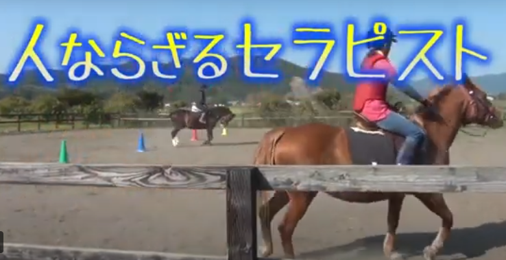 浦河高校（乗馬体験）