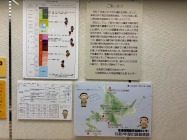 北海道の埋蔵文化財
