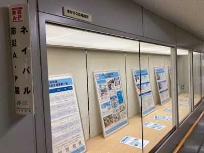 ネイパル防災A・P展