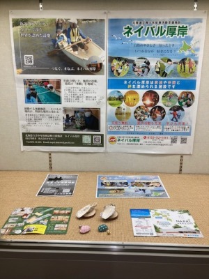 ネイパルPR展