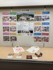ネイパルPR展