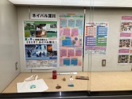 ネイパルPR